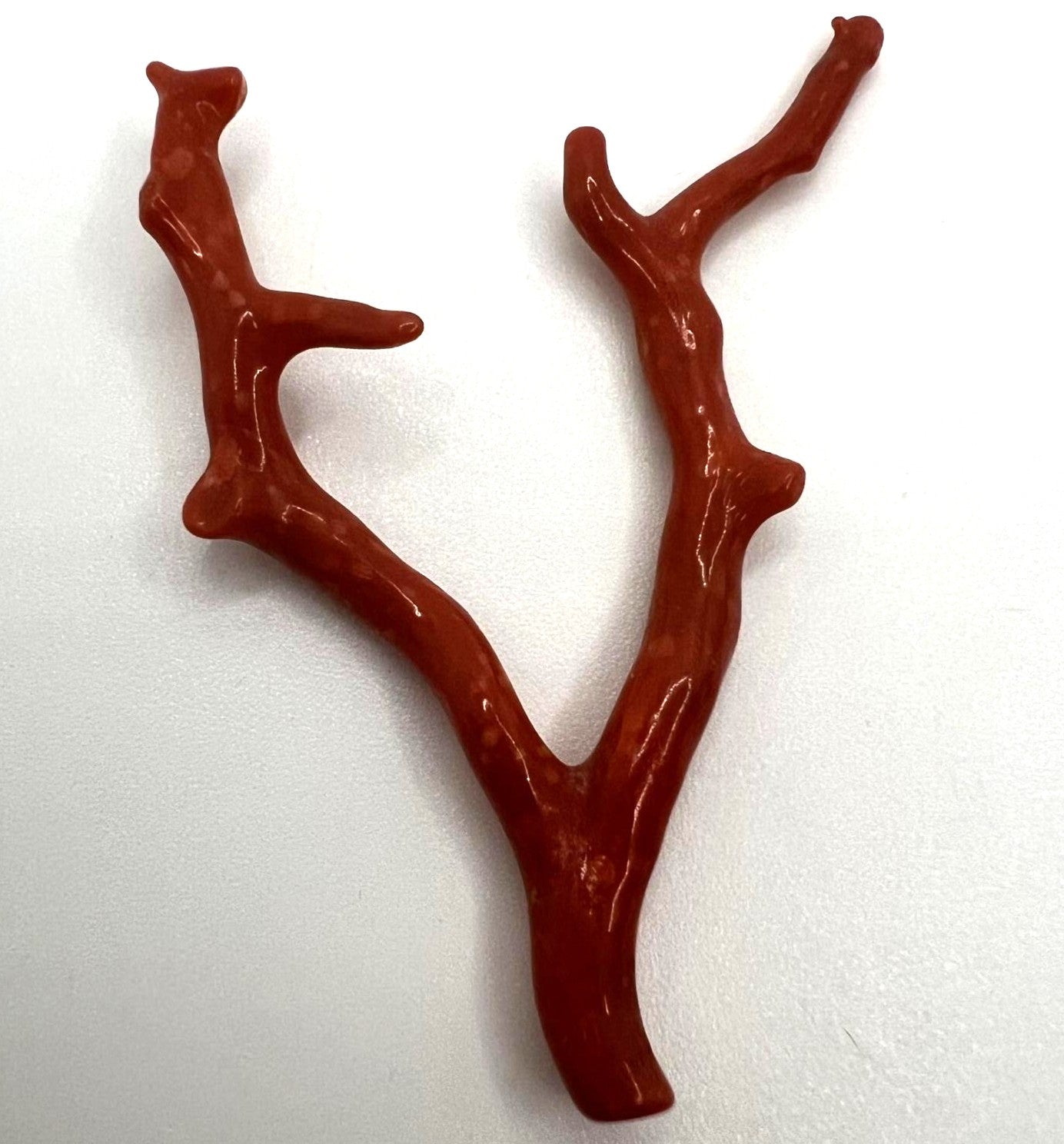Sardinische Naturkoralle Zweig 6,41g