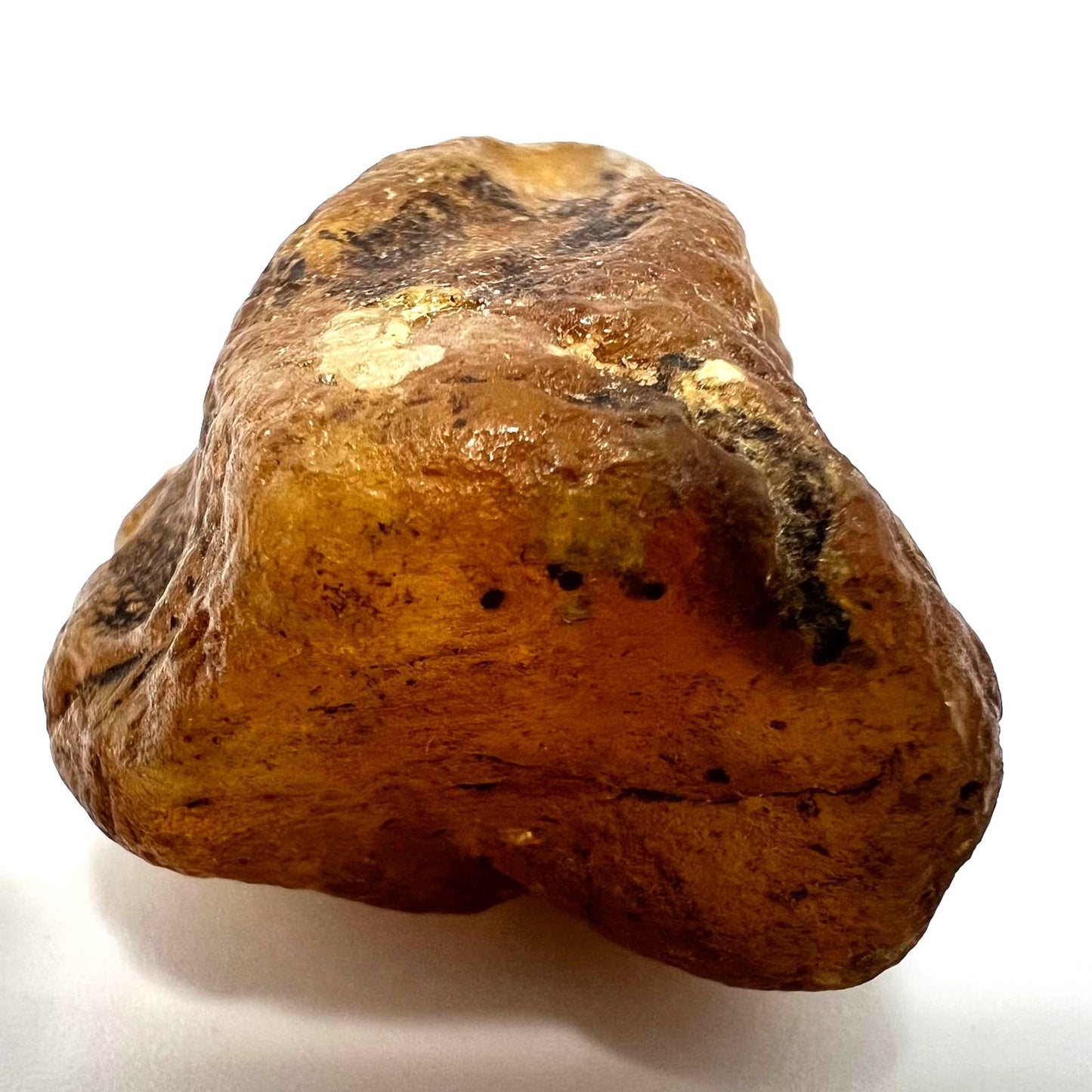 Rohbernstein Bernsteinbrocken 