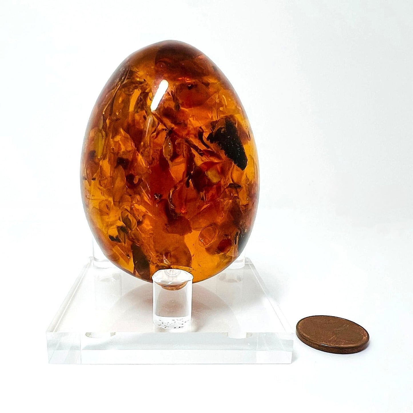 Massives Naturbernstein-Ei 67,5 g