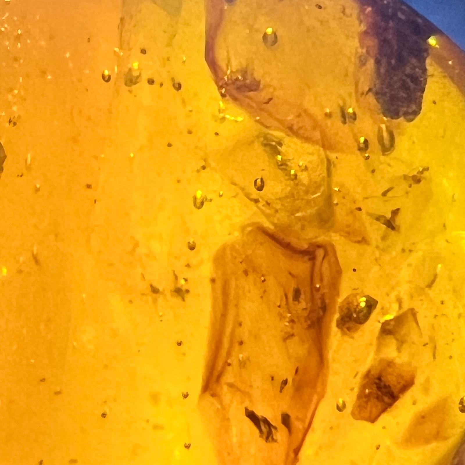 Baltischer Naturbernstein Ei