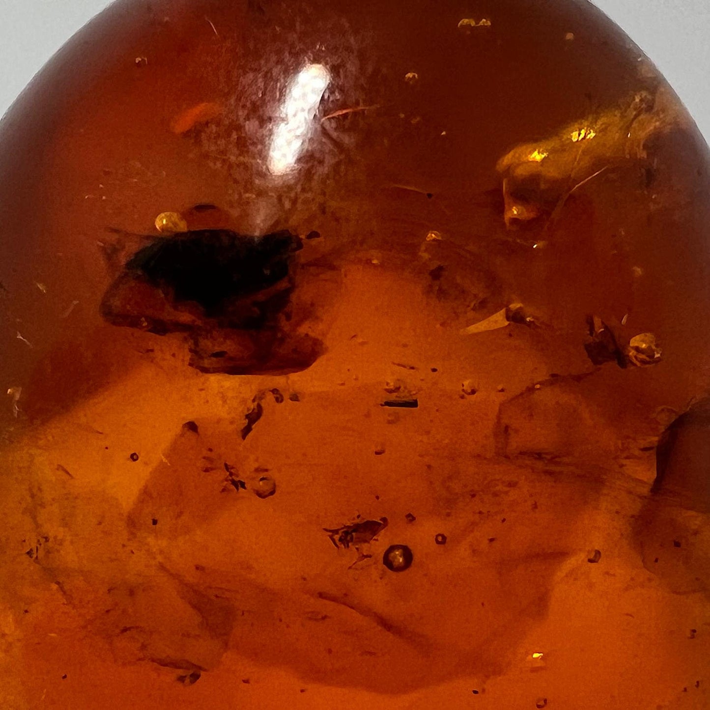 Baltischer Naturbernstein Ei