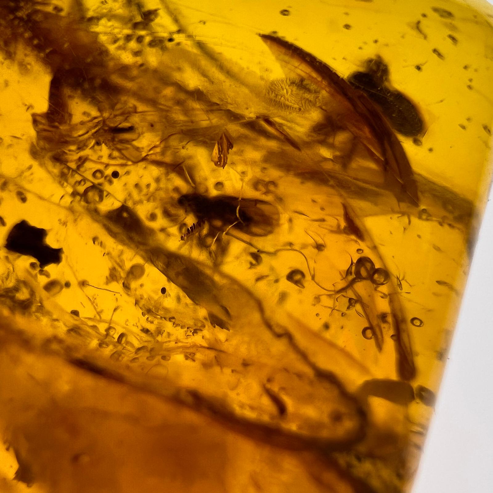 Antiker Naturbernstein