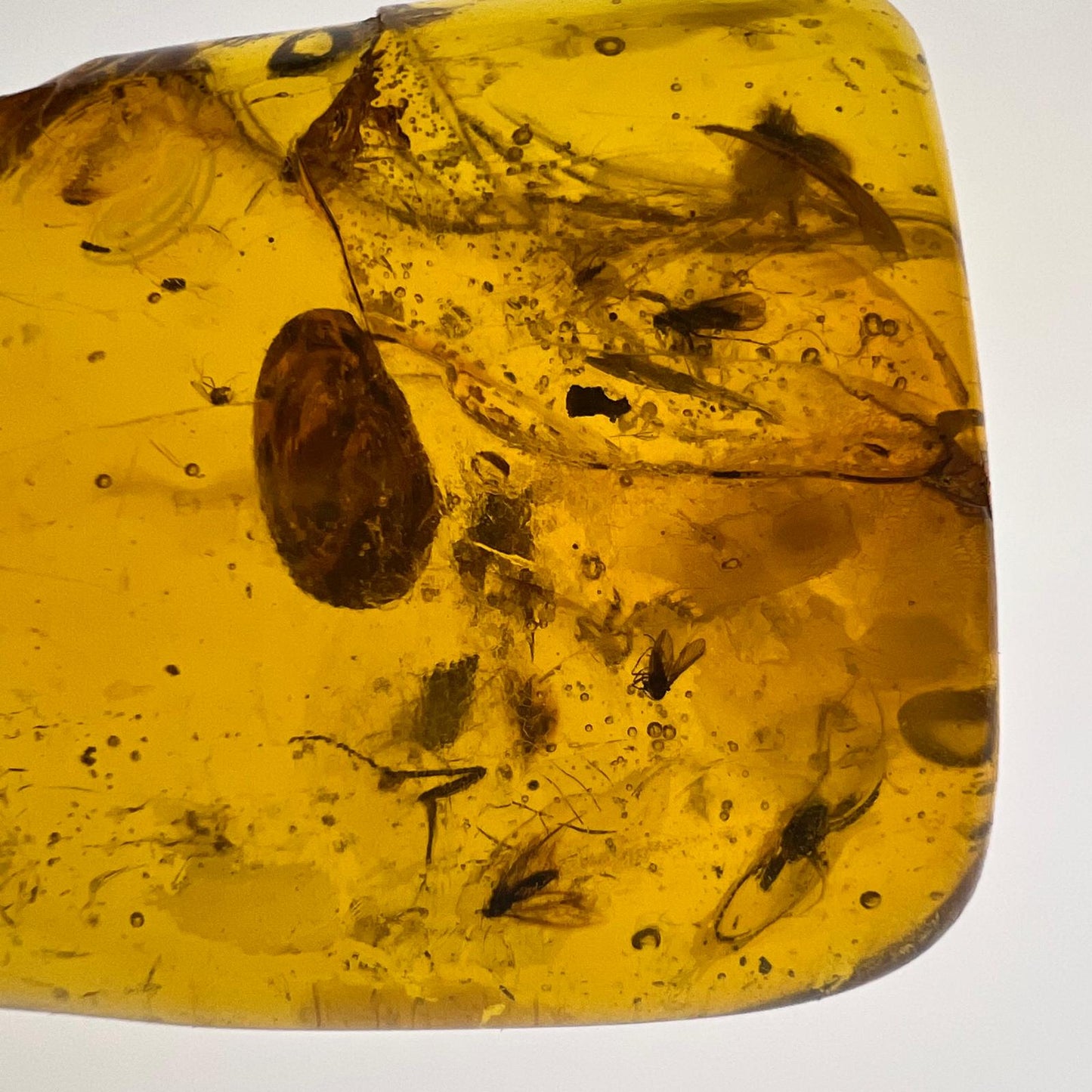 Antiker Naturbernstein