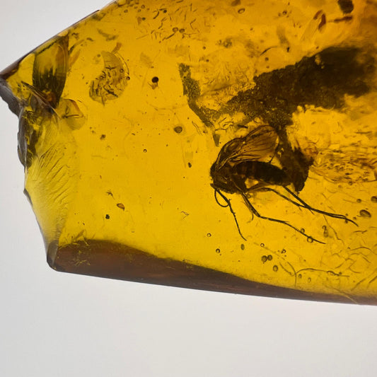 Antiker Naturbernstein