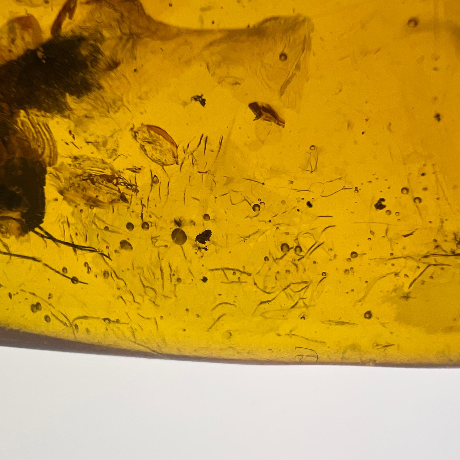 Antiker Naturbernstein