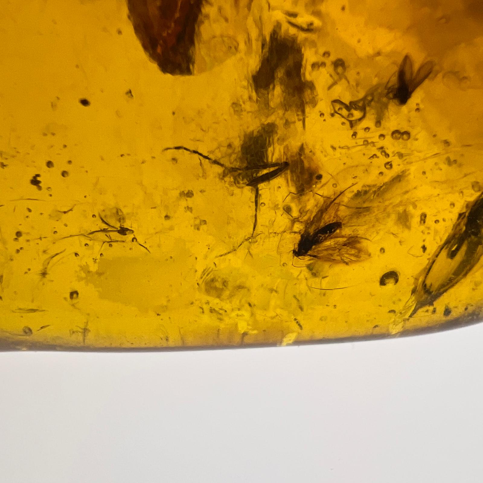 Antiker Naturbernstein