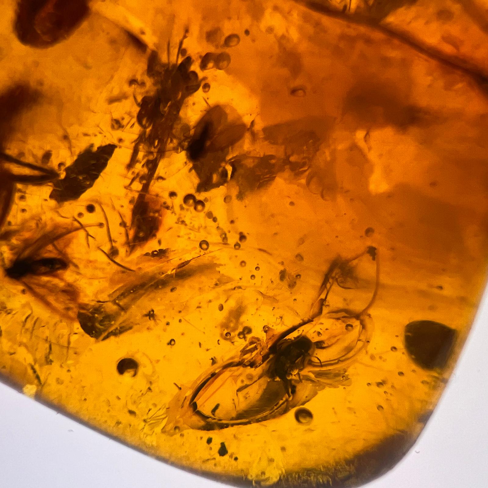 Antiker Naturbernstein