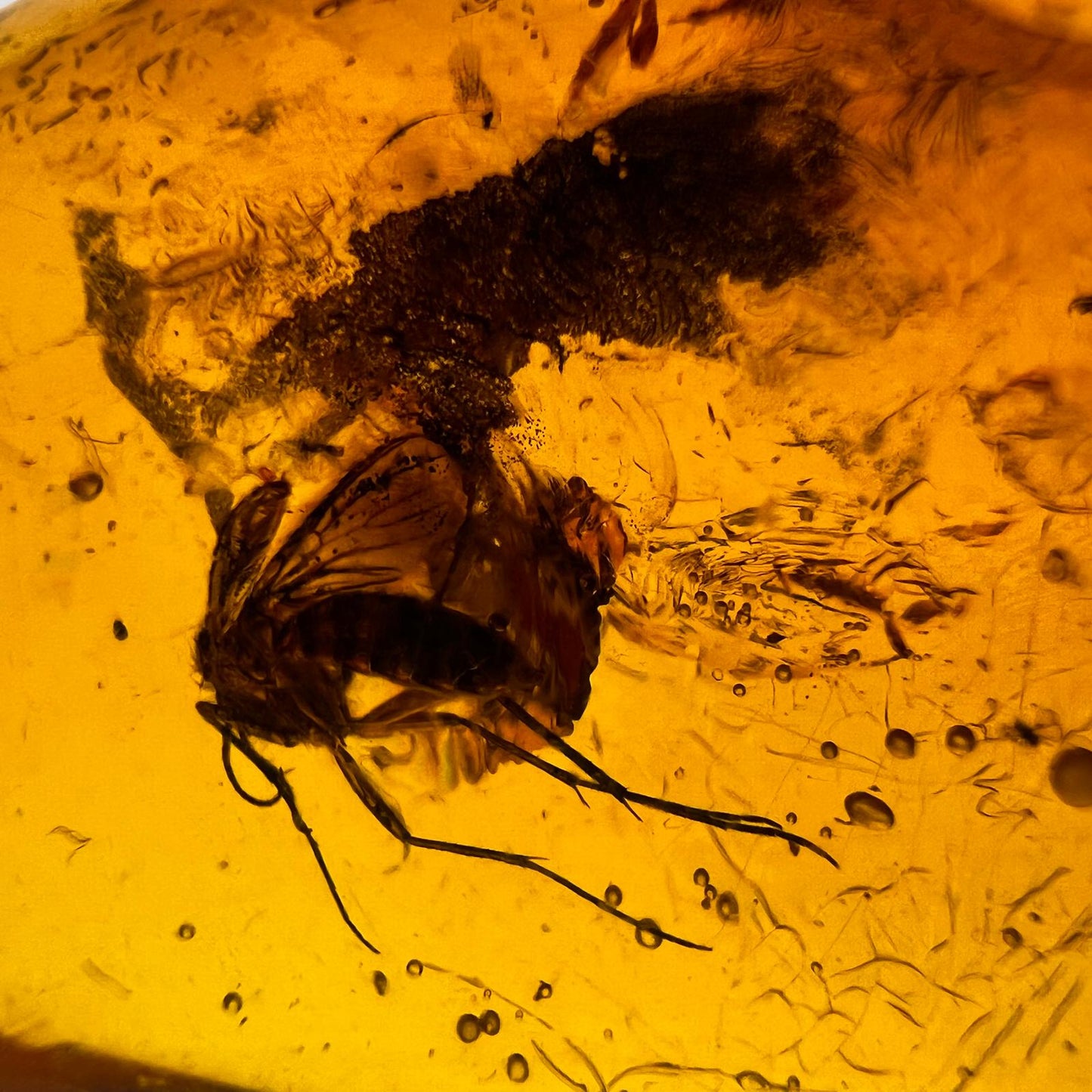 Antiker Naturbernstein