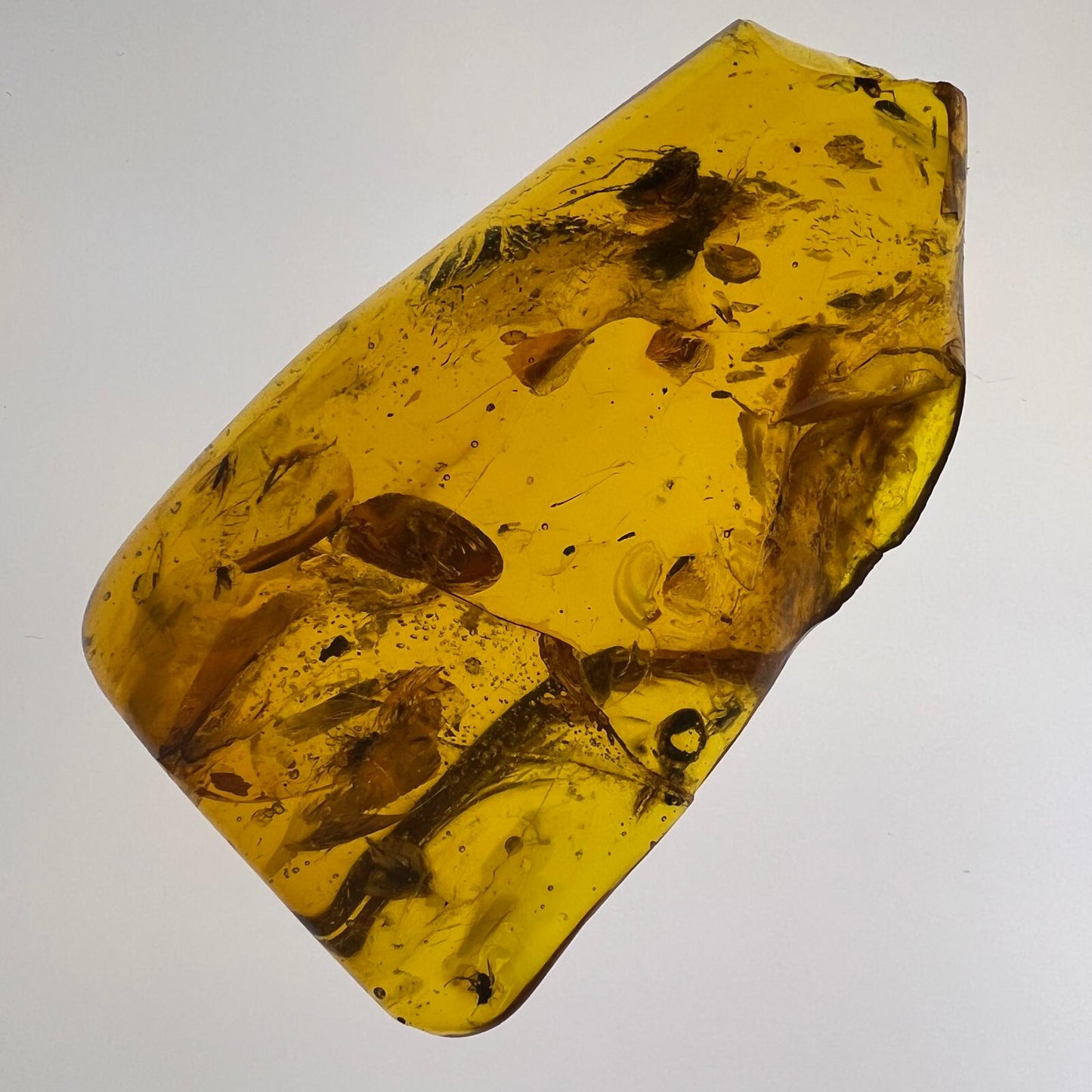 Antiker Naturbernstein