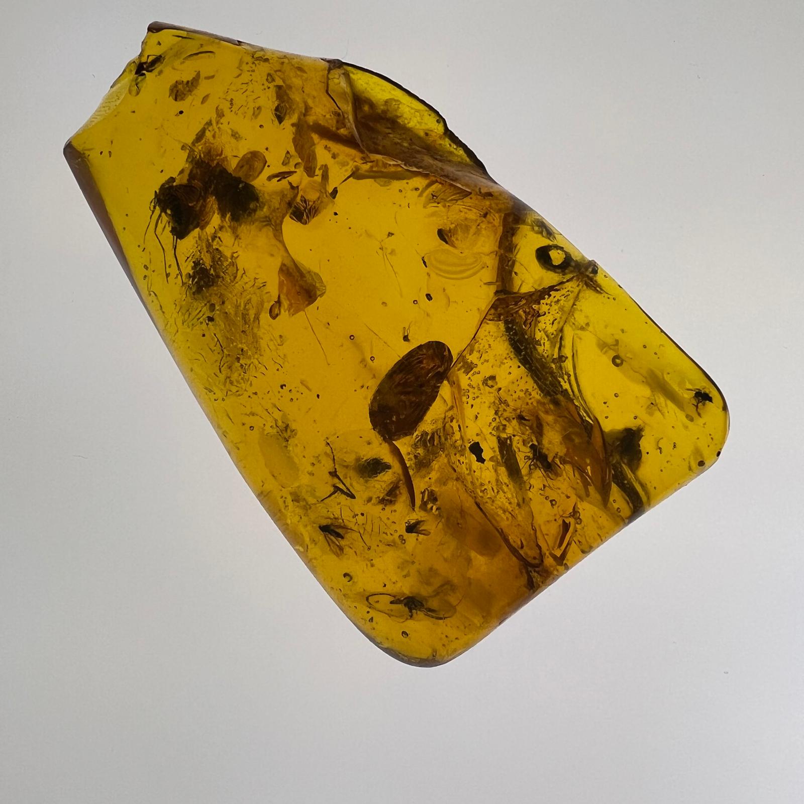 Antiker Naturbernstein