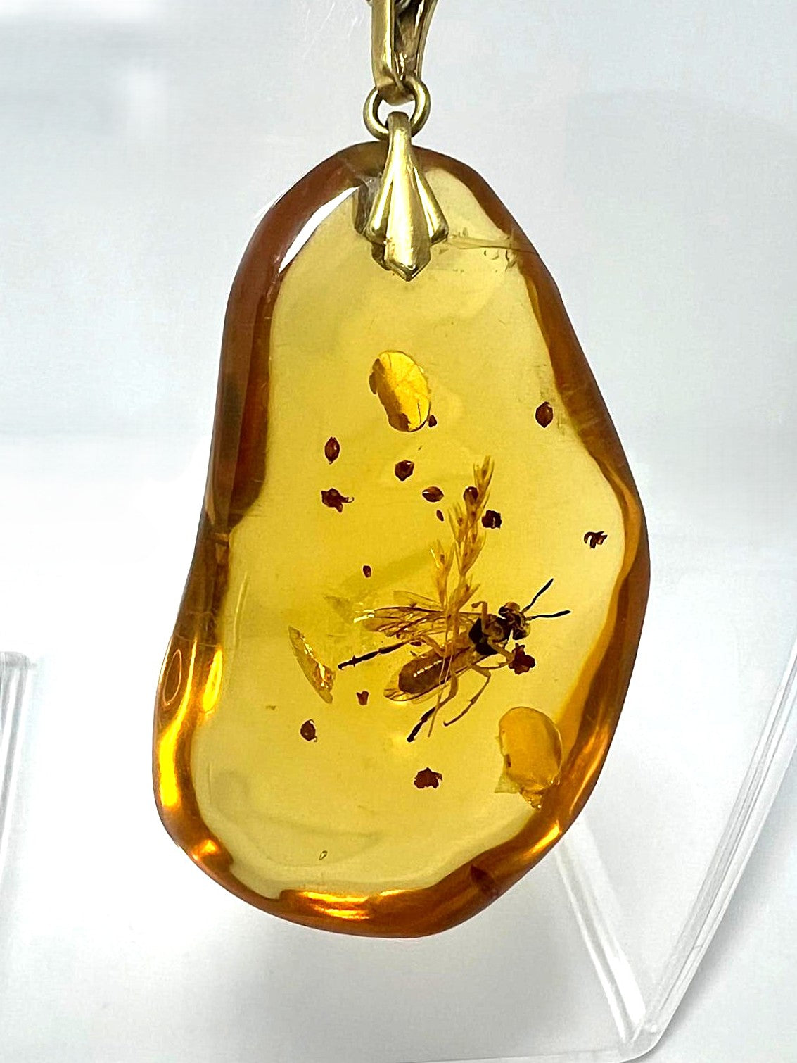 Bernstein Kette mit großer Fliegen-Inkluse Anhänger