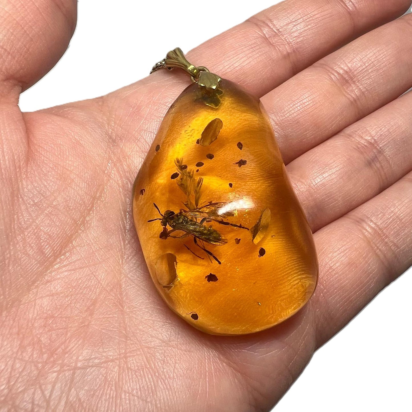 Bernstein Kette mit großer Fliegen-Inkluse Anhänger