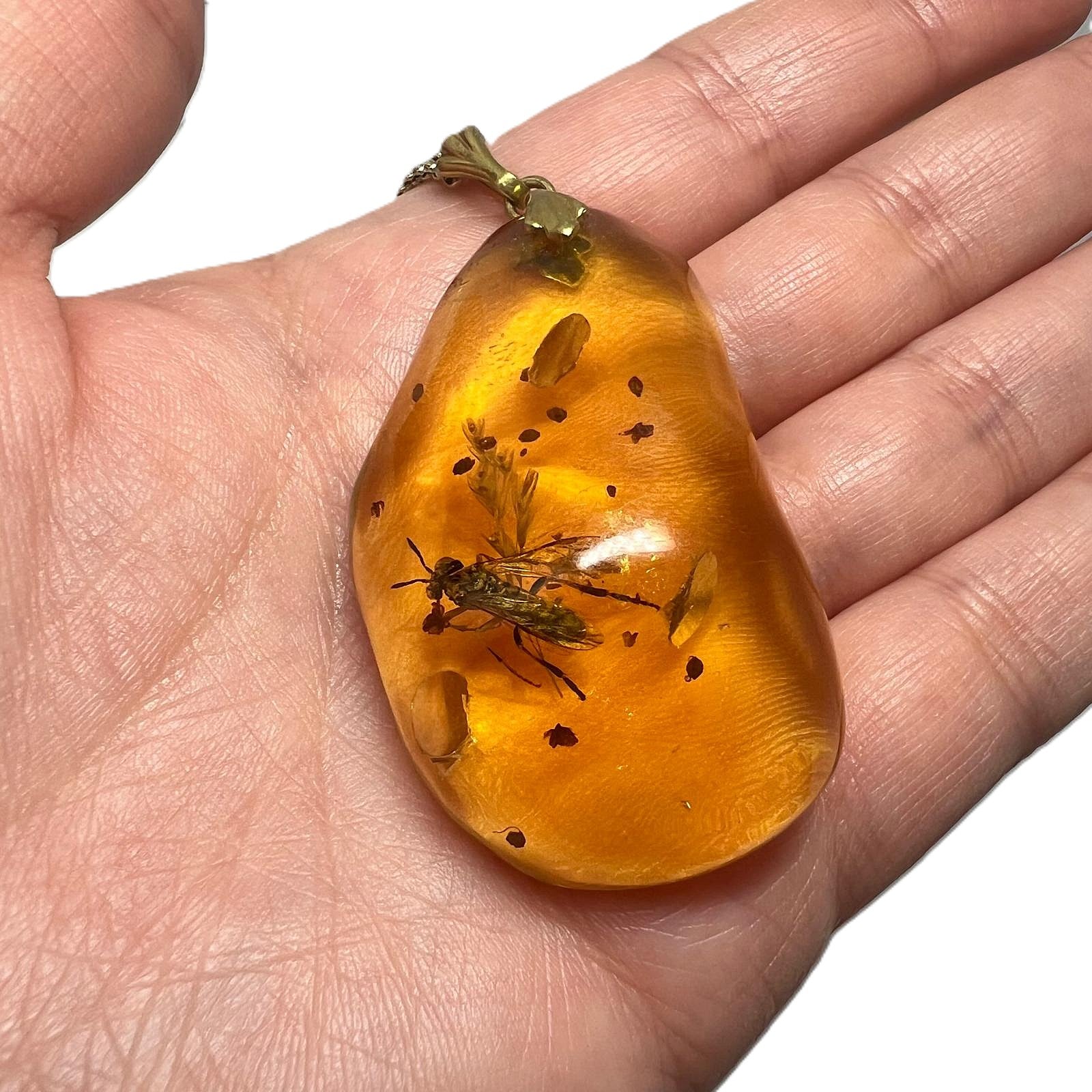 Bernstein Kette mit großer Fliegen-Inkluse Anhänger