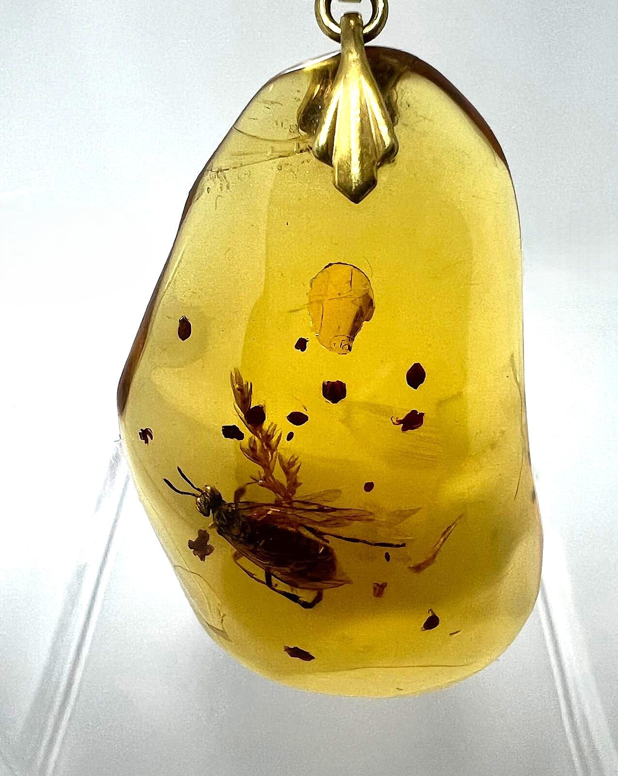 Bernstein Kette mit großer Fliegen-Inkluse Anhänger