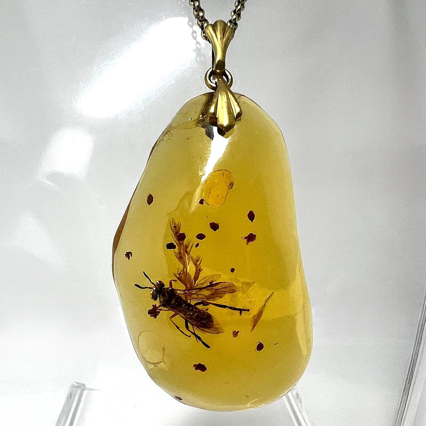 Bernstein Kette mit großer Fliegen-Inkluse Anhänger