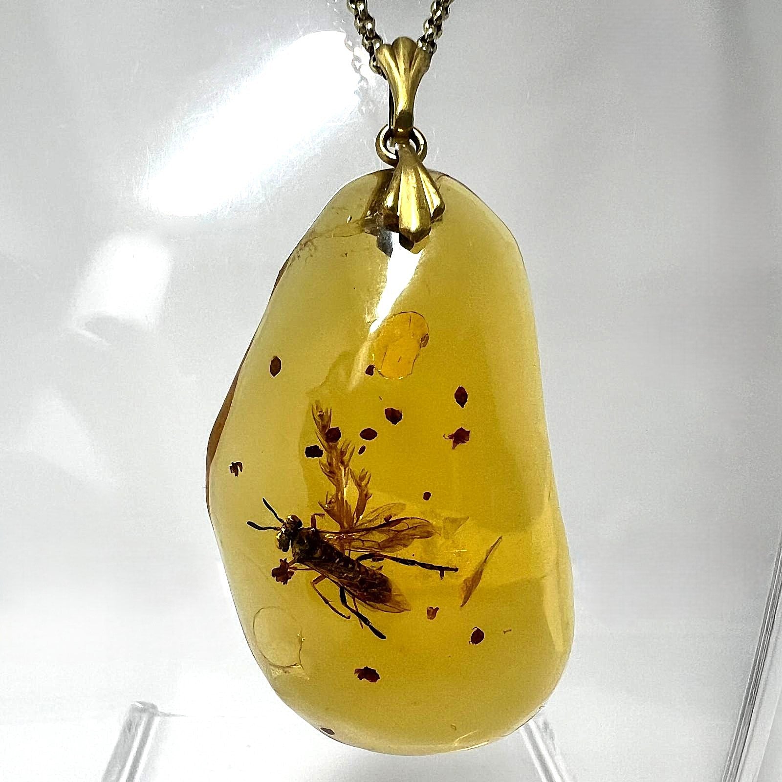 Bernstein Kette mit großer Fliegen-Inkluse Anhänger