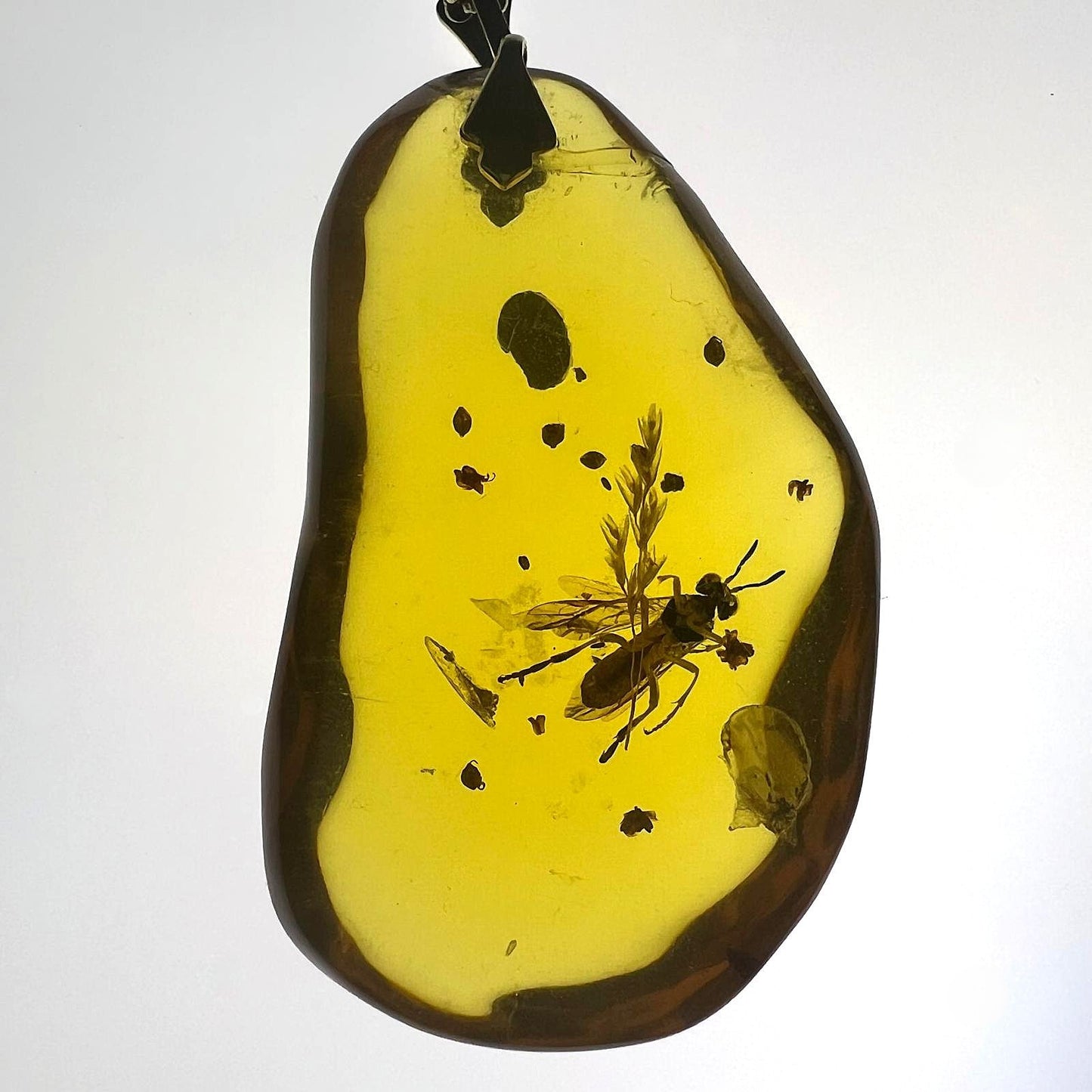 Bernstein Kette mit großer Fliegen-Inkluse Anhänger