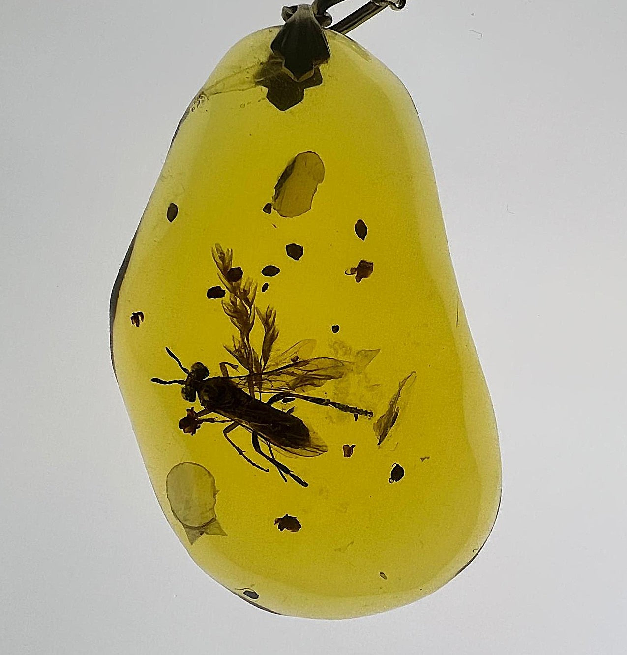 Bernstein Kette mit großer Fliegen-Inkluse Anhänger