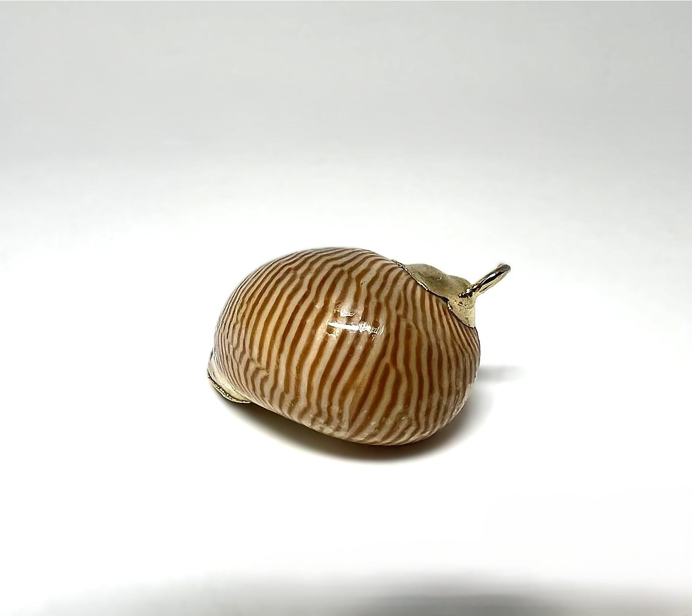 Vintage Naturmuschel Anhänger 