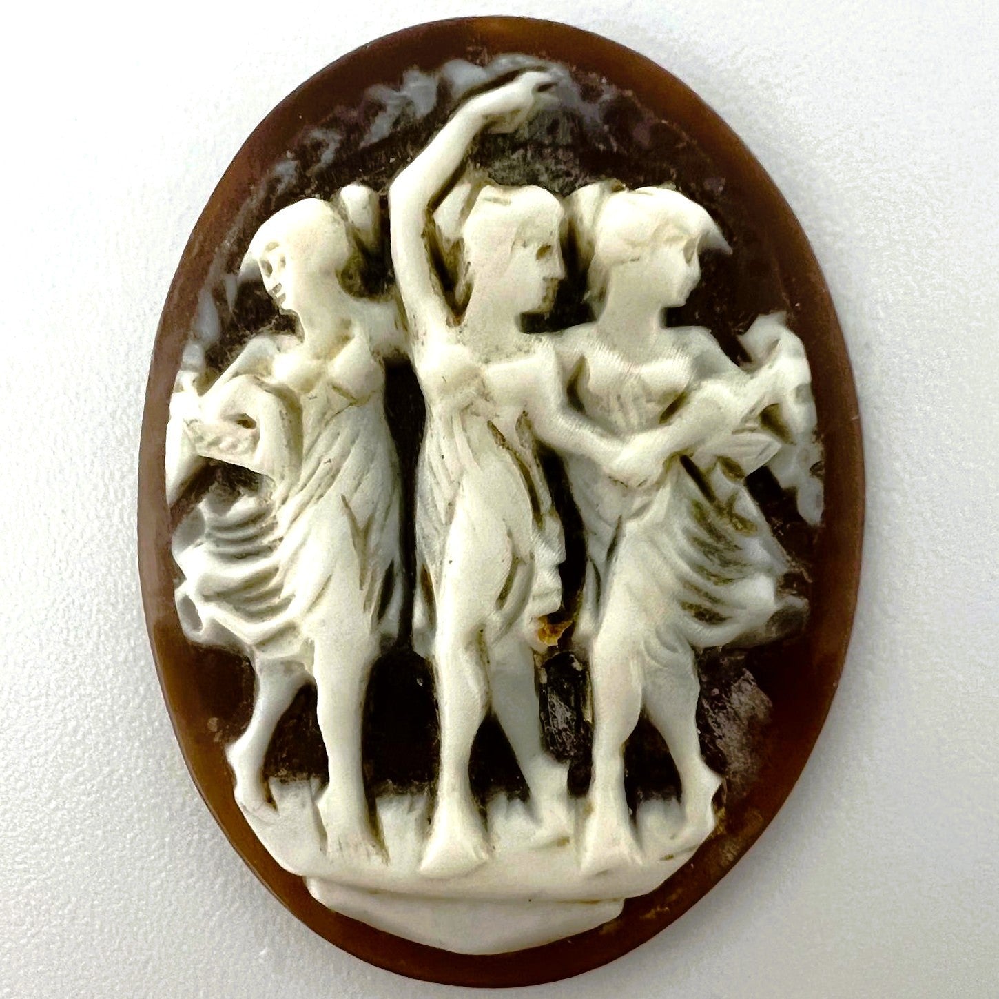 Handgeschnitzte Muschel-Kamee